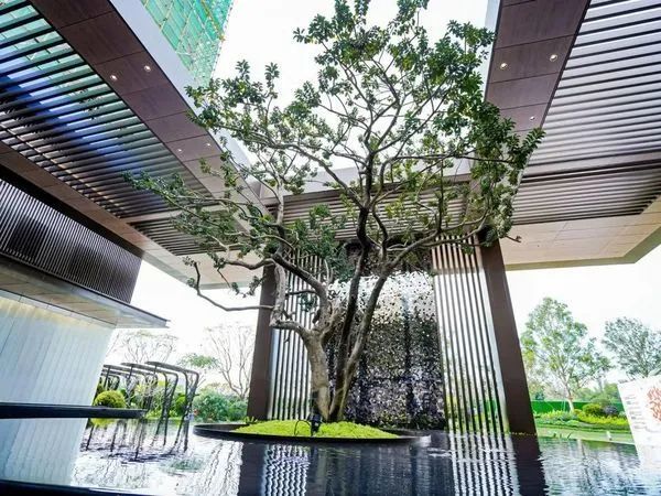 1688374602121792.jpg 3.jpg